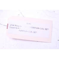 2006 Porsche Cayenne 4.5 Ignition Coil Set of 8 OEM