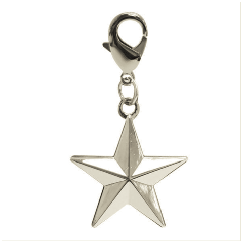 Vanguard PET INSIGNIA RANK CHARM - BRIGADIER GENERAL