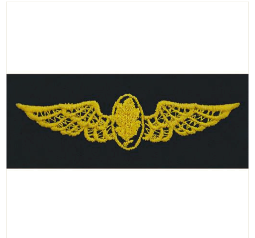 Vanguard NAVY EMBROIDERED BADGE: AVIATION PHYSIOLOGIST - COVERALL