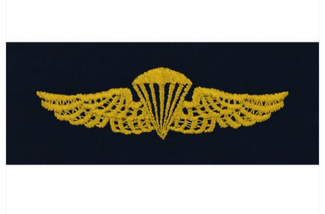 Vanguard NAVY EMBROIDERED BADGE PARACHUTIST - EMBROIDERED ON COVERALL