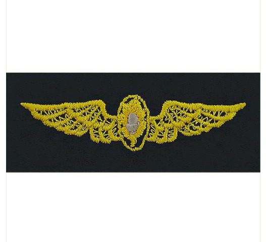 Vanguard NAVY EMBROIDERED BADGE: FLIGHT SURGEON - EMBROIDERED ON COVERALL