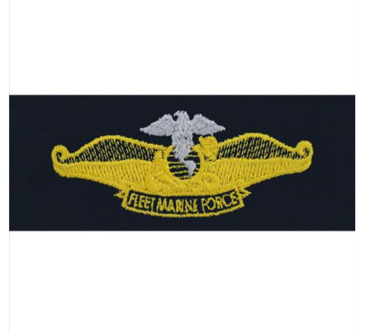 Vanguard Navy Fleet Marine Force Badge Embroidered Chaplin Badge