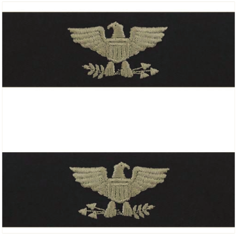 Vanguard NAVY EMBROIDERED COLLAR DEVICE: CAPTAIN - EMBROIDERED ON COVERALL