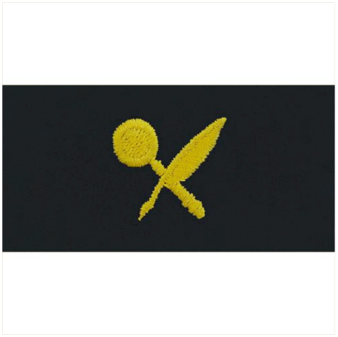 Vanguard NAVY EMBROIDERED COLLAR DEVICE: INTELLIGENCE TECHNICIAN - COVERALL