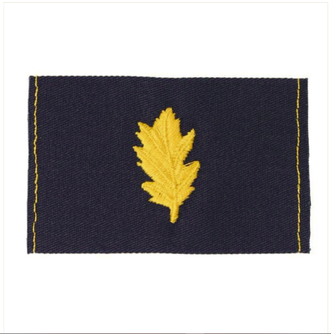 Vanguard NAVY EMBROIDERED COLLAR DEVICE: NURSE CORP - EMBROIDERED ON COVERALL