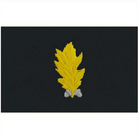 Vanguard NAVY EMBROIDERED COLLAR DEVICE: DENTAL CORP - EMBROIDERED ON COVERALL