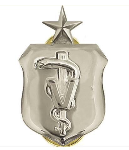Vanguard AIR FORCE BADGE: VETERINARIAN: SENIOR