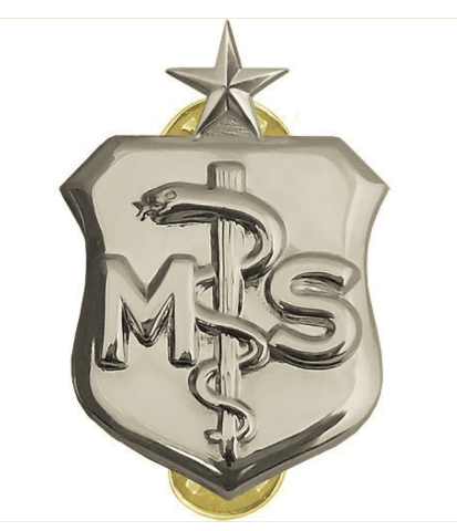 Vanguard AIR FORCE BADGE: MEDICAL SERVICE: SENIOR