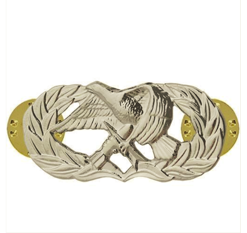 Vanguard AIR FORCE BADGE: AIR MAINTENANCE MUNITION - REGULATION SIZE