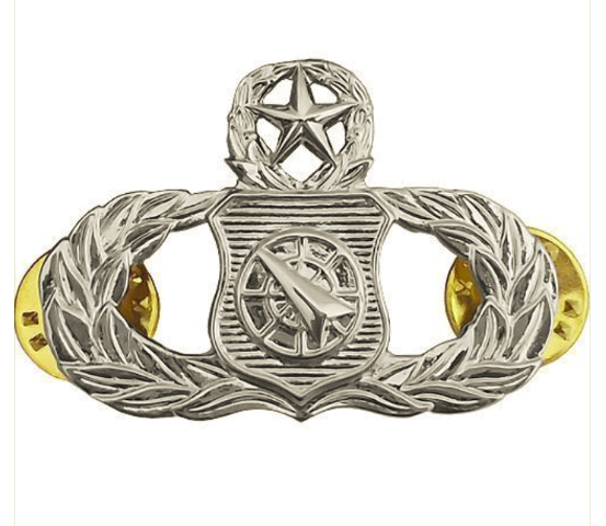 Vanguard AIR FORCE BADGE: WEAPONS CONTROLLER: MASTER - REGULATION SIZE