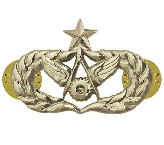 Vanguard AIR FORCE BADGE: CIVIL ENGINEER: SENIOR - REGULATION SIZE