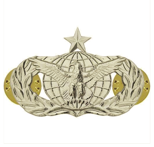Vanguard AIR FORCE BADGE: FORCE PROTECTION: SENIOR - REGULATION SIZE