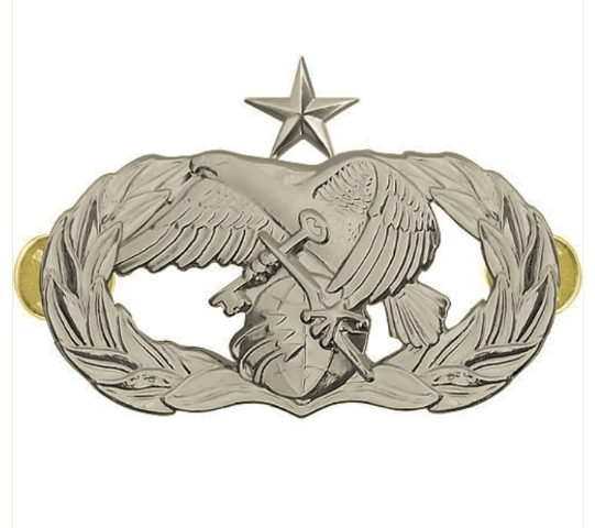 Vanguard AIR FORCE BADGE: LOGISTICS READINESS: SENIOR - REGULATION SIZE