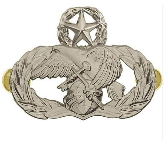 Vanguard AIR FORCE BADGE: LOGISTICS READINESS: MASTER - REGULATION SIZE