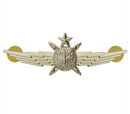 Vanguard AIR FORCE BADGE: SENIOR CYBERSPACE OPERATOR: REGULATION SIZE