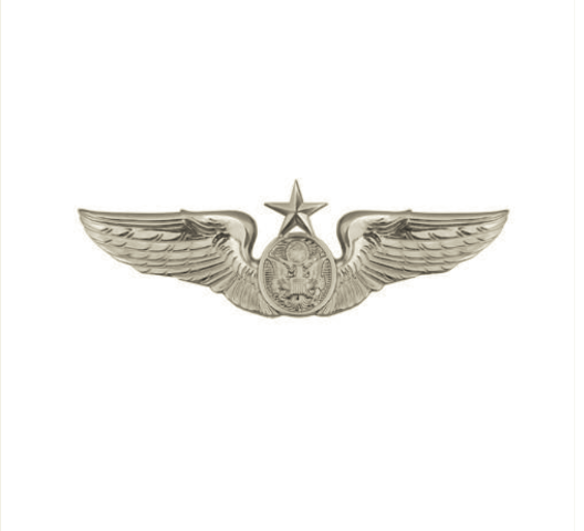 Vanguard AIR FORCE BADGE: AIRCREW: SENIOR - MINIATURE