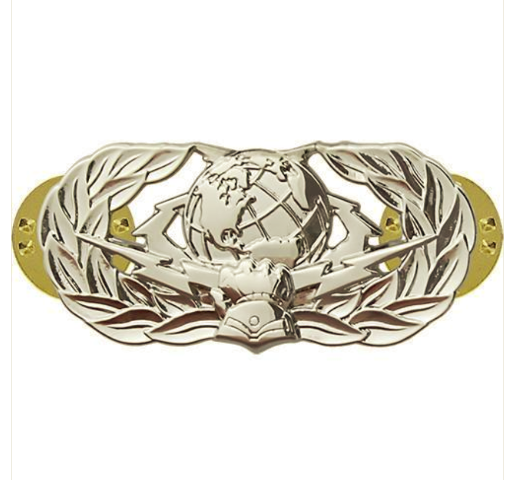 Vanguard AIR FORCE BADGE: CYBERSPACE SUPPORT: BASIC - MIDSIZE