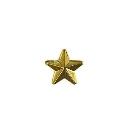 Vanguard ARMY IDENTIFICATION BADGE GOLD STAR FOR RECRUITER - HARD CORPS METAL