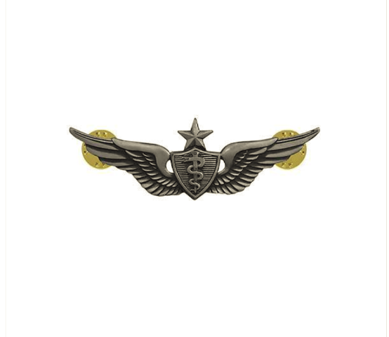 Vanguard ARMY DRESS BADGE: SENIOR FLIGHT SURGEON - MINIATURE, SILVER OXIDIZED
