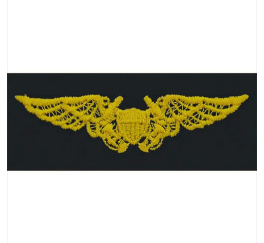 Vanguard COAST GUARD EMBROIDERED BADGE: FLIGHT OFFICER - RIPSTOP FABRIC