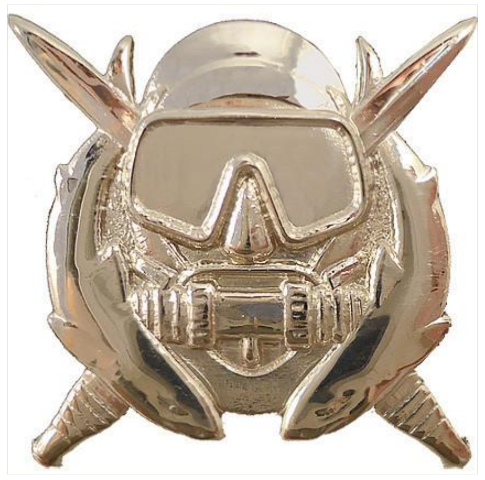 Vanguard ARMY BADGE SPECIAL OPERATION DIVER - REGULATION SIZE, MIRROR FINISH