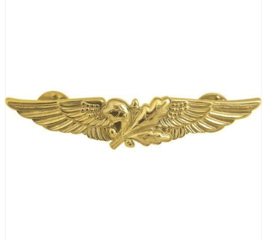 Vanguard NAVY BADGE: AVIATION SUPPLY OFFICER - MINIATURE, GOLD FINISH
