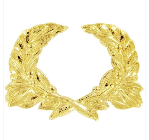 Vanguard ARMY ROTC AWARD: SCHOOL ACADEMIC ACHIEVEMENT HONOR WREATH