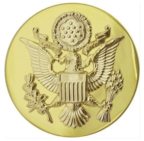 Vanguard ARMY CAP DEVICE: ENLISTED - MALE