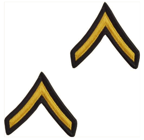 Vanguard ARMY CHEVRON: PRIVATE - GOLD EMBROIDERED ON GREEN, FEMALE