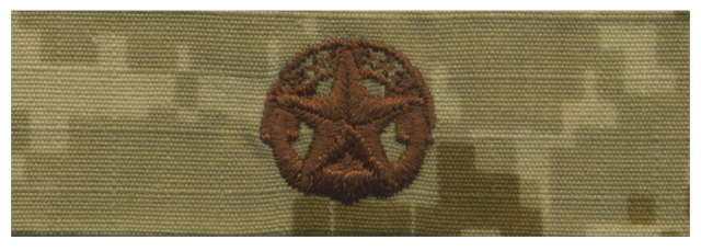 Vanguard NAVY EMBROIDERED BADGE: COMMAND AT SEA - DESERT DIGITAL