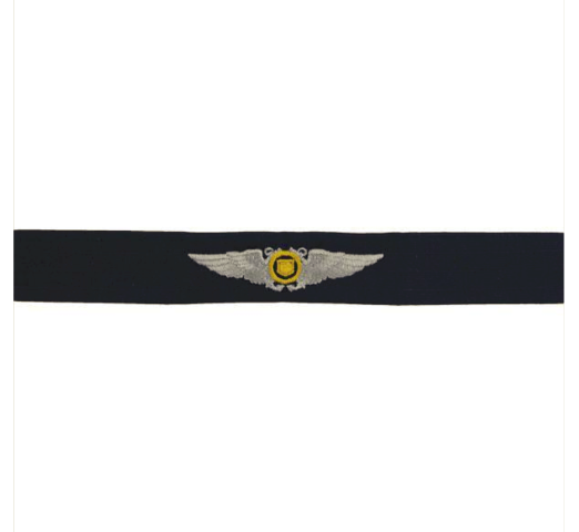 Vanguard COAST GUARD AUXILIARY EMBROIDERED BADGE: AVIATOR WINGS - RIPSTOP FABRIC