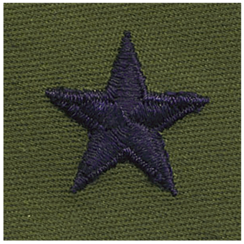 Vanguard AIR FORCE EMBROIDERED RANK: BRIGADIER GENERAL - SUBDUED FATIGUE