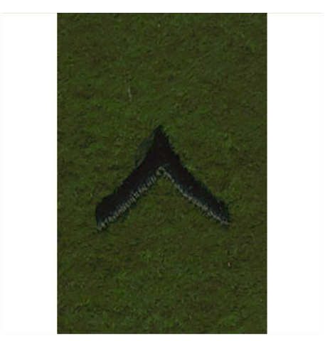 Vanguard ARMY LEADERSHIP RANK TAB: PRIVATE