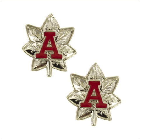 Vanguard COAST GUARD AUXILIARY COLLAR DEVICE NATIONAL CHIEF DIRECTORATE OFFICER