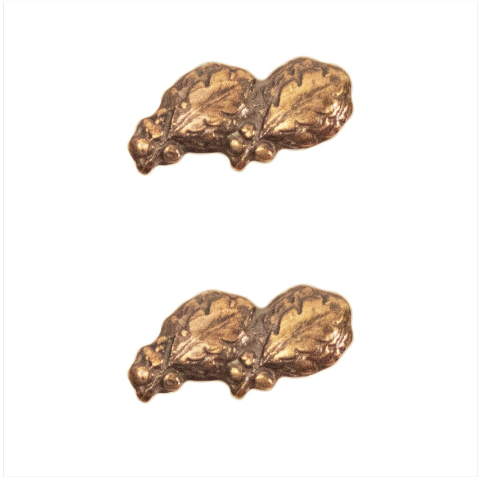 Vanguard RIBBON ATTACHMENTS: TWO OAK LEAF CLUSTERS MOUNTED ON A BAR - BRONZE