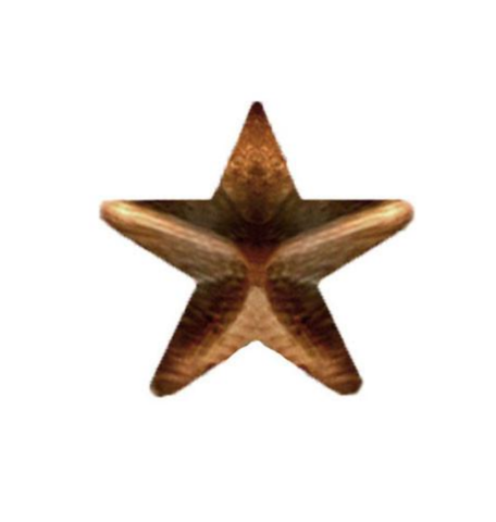 Vanguard RIBBON ATTACHMENTS 5/16 INCH BRONZE STAR