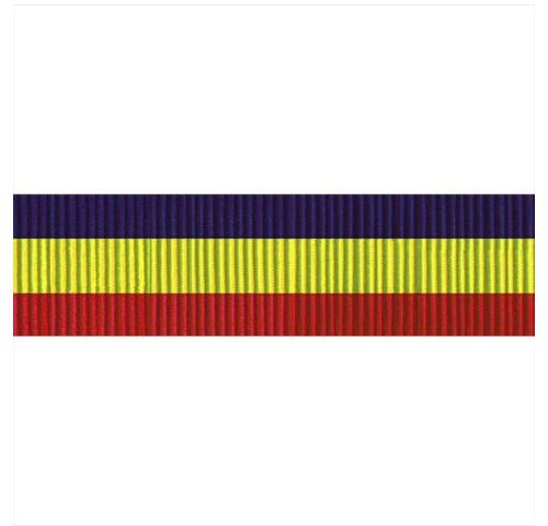 Vanguard US Navy Presidential Unit Citation Ribbon Unit