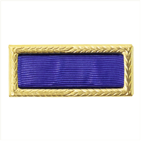 Vanguard ARMY CITATION: PRESIDENTIAL UNIT CITATION: PUC