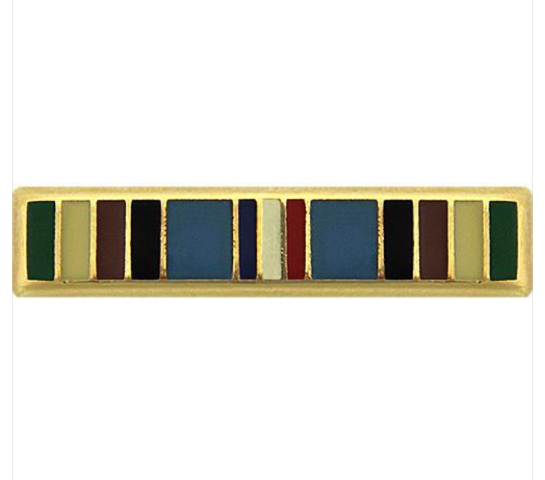 Vanguard ARMED FORCES EXPEDITIONARY LAPEL PIN