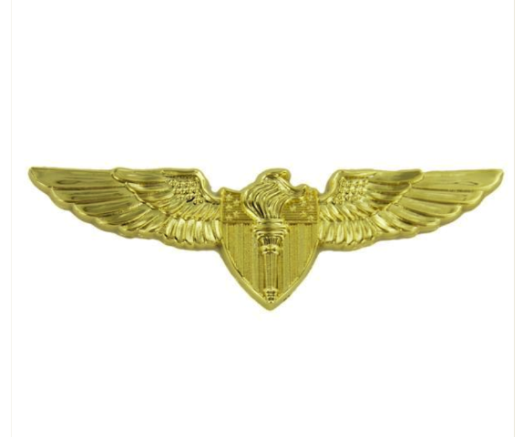 Vanguard USNSCC - GOLD WINGS BADGE AVIATOR WING