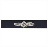 Vanguard NAVY EMBROIDERED BADGE: INFORMATION DOMINANCE WARFARE ENLISTED COVERALL
