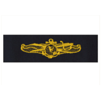 Vanguard NAVY EMBROIDERED BADGE INFORMATION DOMINANCE WARFARE OFFICER  COVERALL