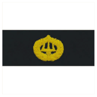 Vanguard NAVY EMBROIDERED BADGE: COMMAND ASHORE - EMBROIDERED ON COVERALL