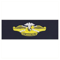 Vanguard NAVY EMBROIDERED BADGE: FLEET MARINE FORCE OFFICER - COVERALL