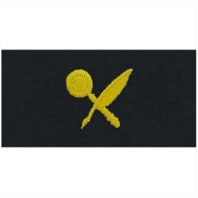 Vanguard NAVY EMBROIDERED COLLAR DEVICE: INTELLIGENCE TECHNICIAN - COVERALL