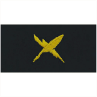 Vanguard NAVY EMBROIDERED COLLAR DEVICE: CRYPTOLOGIC TECHNICIAN - COVERALL