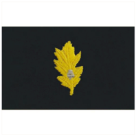 Vanguard NAVY EMBROIDERED COLLAR DEVICE: MEDICAL CORP - COVERALL