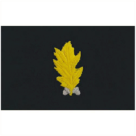 Vanguard NAVY EMBROIDERED COLLAR DEVICE: DENTAL CORP - EMBROIDERED ON COVERALL
