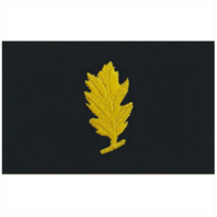 Vanguard NAVY EMBROIDERED COLLAR DEVICE: MEDICAL SERVICE - COVERALL