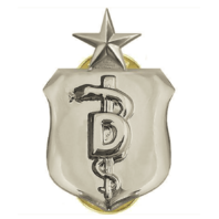 Vanguard AIR FORCE BADGE: DENTIST: SENIOR